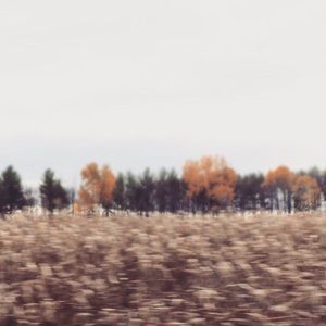 Meet your Posher, Cristina